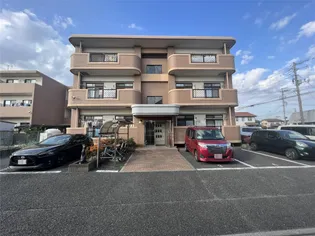 ラフィーネ隼人の画像