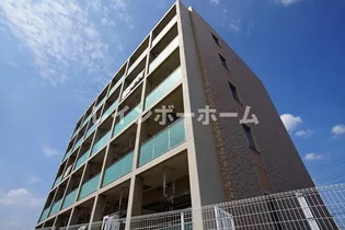 プラシードの画像