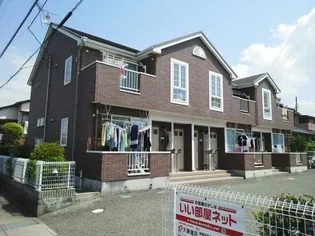 アミティーの画像