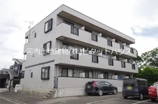 WERDEN WILLMOAの画像