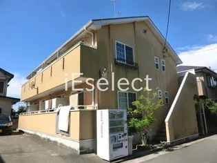 フェリークの画像