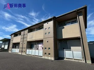 ティーツリーの画像