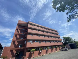 ウィンブルドン21の画像