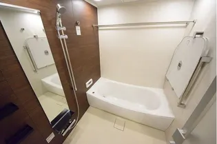 ザ・パークハウス西新宿タワー60【31階】の風呂