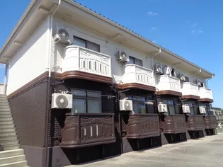 ソフィアBの画像