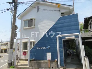 サンフラワーIIの画像