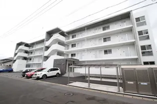 オリノ リコの画像