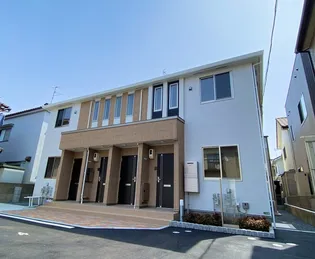 SHINE STELLAの画像