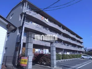 サンシャインイトウの画像