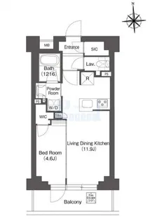バウスステージ練馬豊玉【3階】の間取り