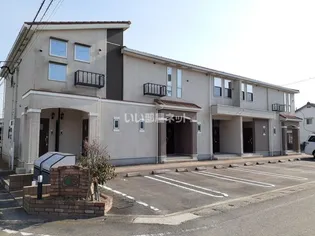 エバーグリーンM K T Aの画像