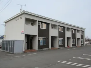 フェンネル清見の画像