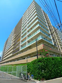 ビー サイトの画像