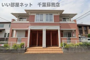 ペンサミエントの画像