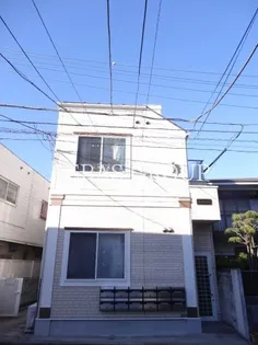 フェリスソニアの画像