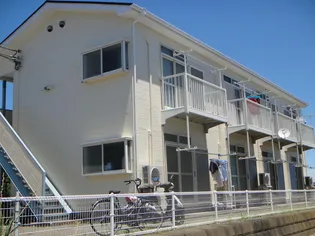 石井ハイツ【1階】の外観