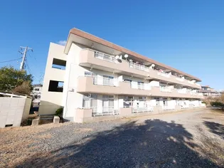 陽崇台ハイツ【1階】の外観