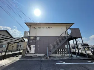 セレッソワタナベ【1階】の外観