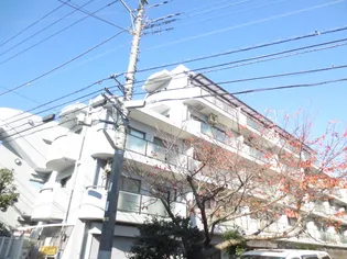 カサグランデの画像