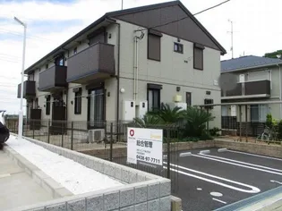 プルメリアの画像