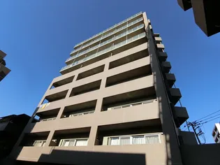 エバーグリーンの画像