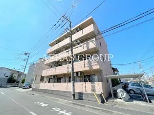 エリエントの画像