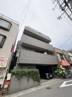 カクタスの画像