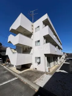 ドミールアオキ 300Bの画像