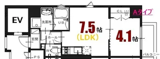 katayama BLDG 24【8階】の間取り