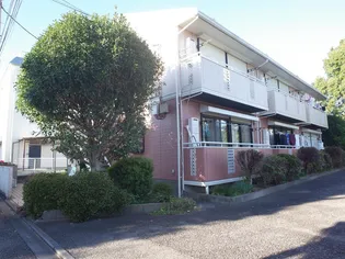 エントピアの画像