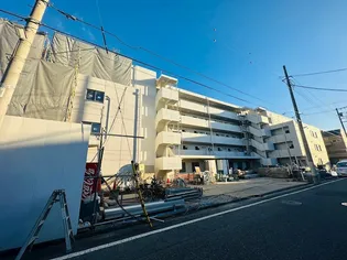 スアヴィス舎人の画像