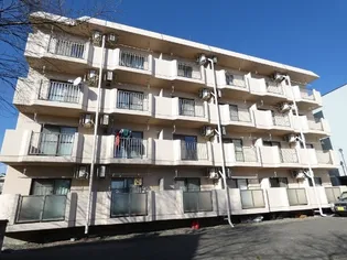 開智ハイツの画像