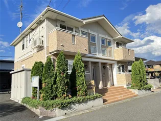 チェリーブラッサムの画像