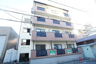 カモミールの画像