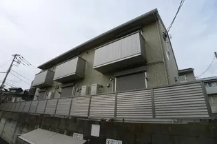 カトレア1の画像