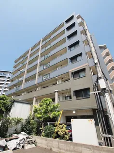 エルフ フォレストの画像