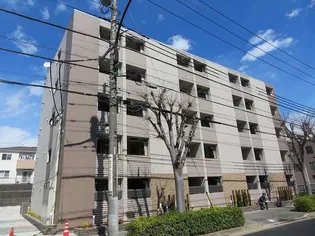 オネスティの画像
