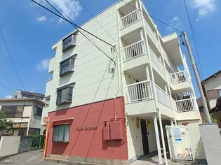 ハイムコスモスの画像