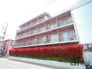 埼玉県川越市熊野町【アパート】の外観