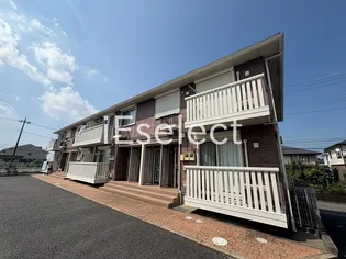 バーディコートの画像