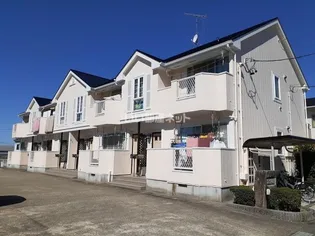 シーズンの画像