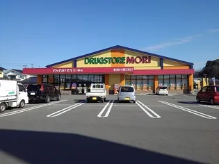 フォーエバーサニー【2階】の周辺