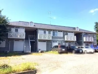 ハイツチェリ-【1階】の外観