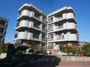 ラ プリマヴェーラBの画像