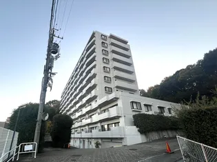 星ヶ丘スカイマンションの画像