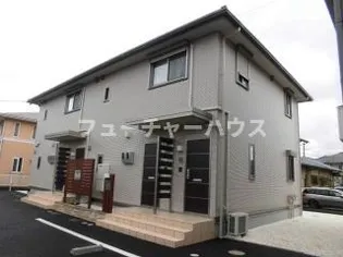 タンカルムの画像