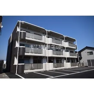 Y&M SAKURA IIの画像