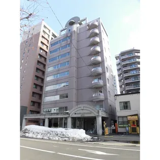 ビッグバーンズマンションN11【8階】の外観