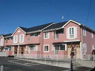 シャルマンBの画像