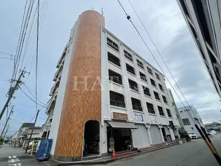 ハイデンス伊代の画像